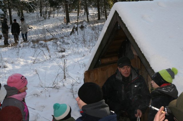 Kulig 2016