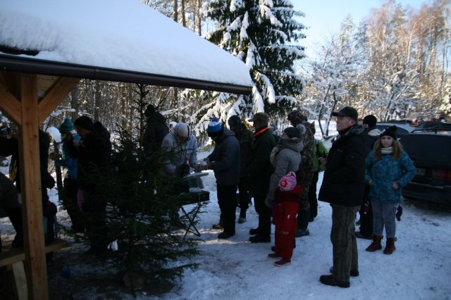 Kulig 2016