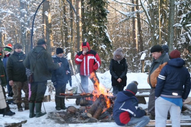 Kulig 2016