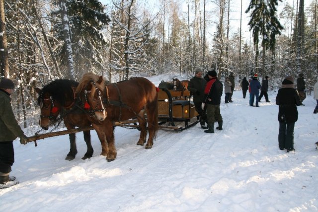 Kulig 2016